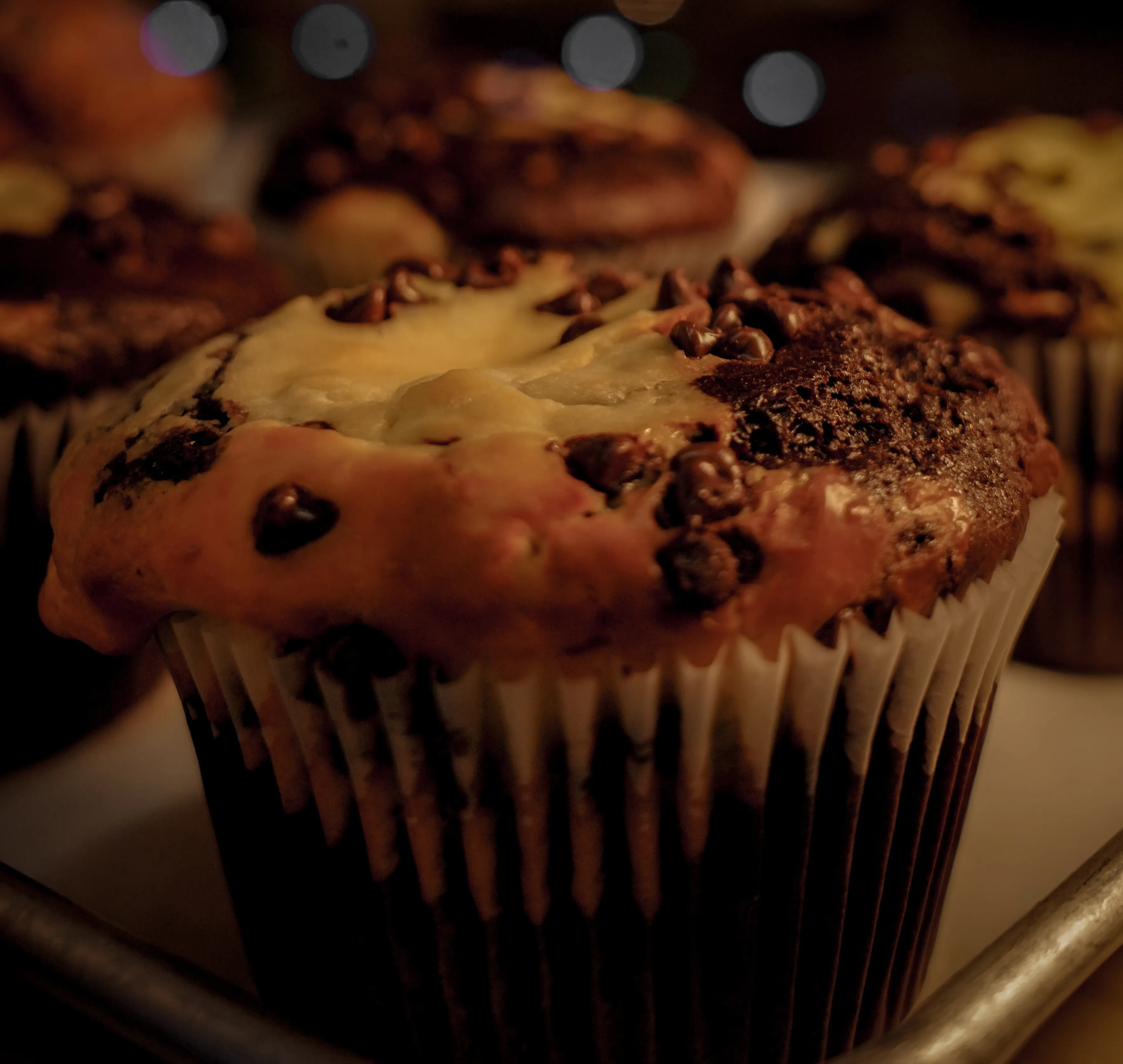 Chocolate muffin with cream cheese swirl and chocolate chips
