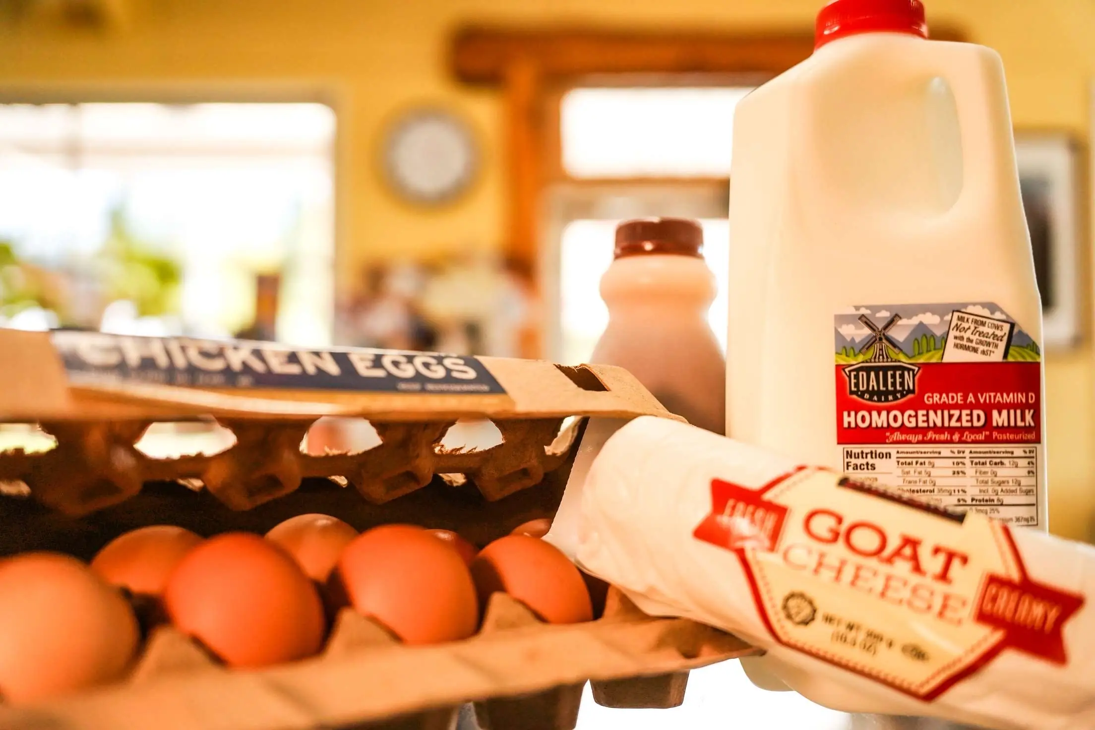 A carton of eggs, a gallon of milk, and a block of goat cheese on a counter.