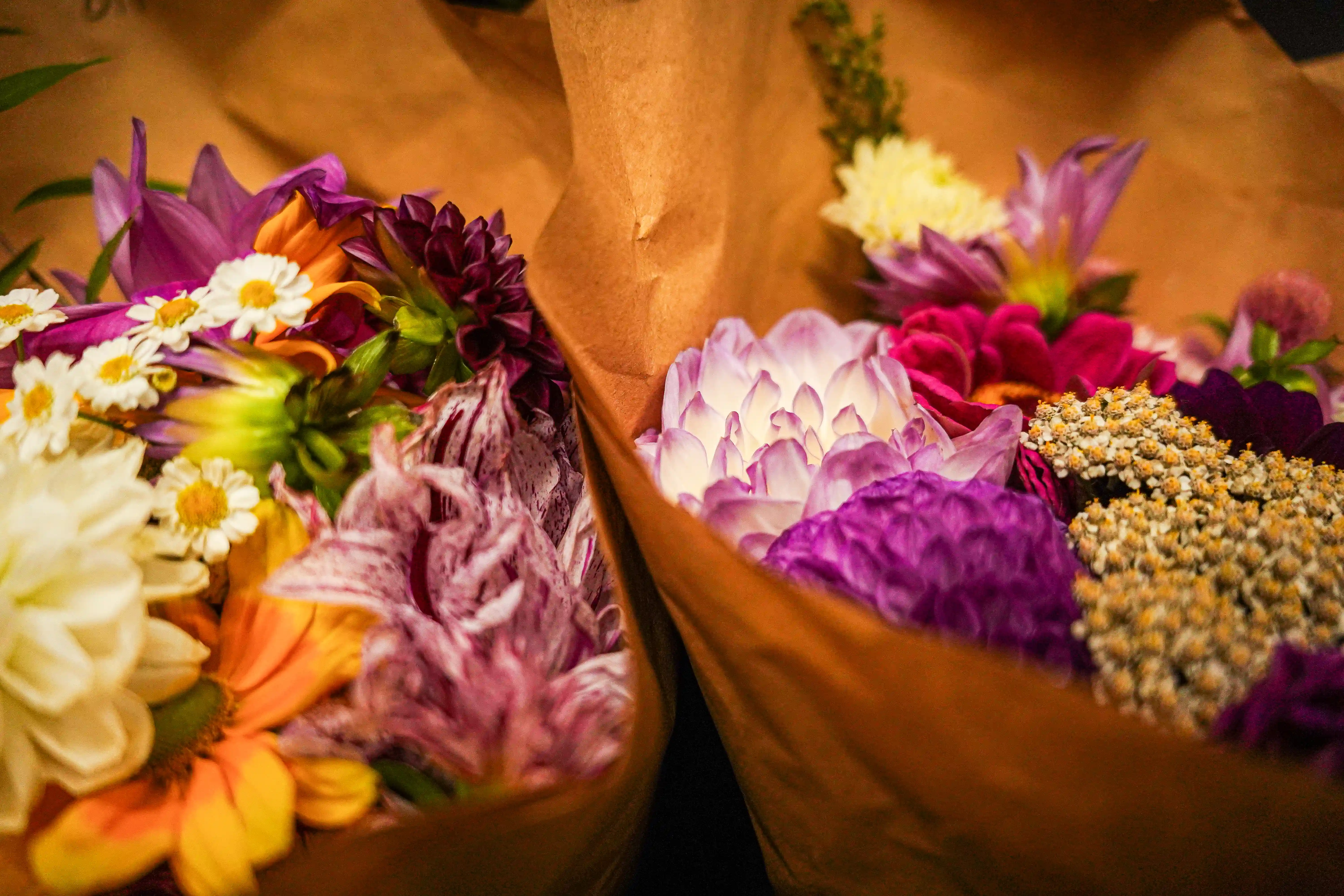 Two brown paper-wrapped bouquets filled with colorful fresh flowers including dahlias, daisies, and chrysanthemums.